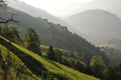 austrian alps