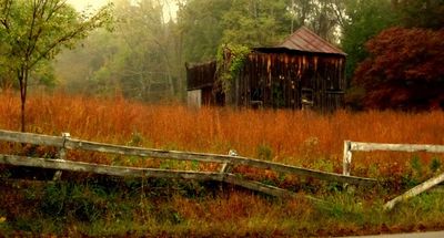 Thy Woods All But Cry With Colour