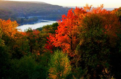 Autumn Deep Creek Lake