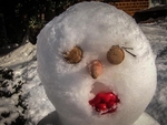 Winter, You Shameless Hussy