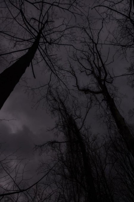 Winter's Howl