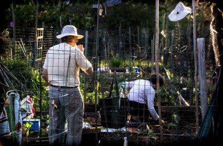 DC Community Garden